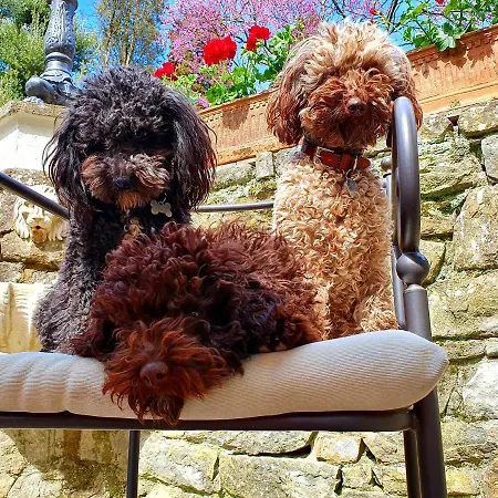 Nardi - Residenza D'epoca Hotel