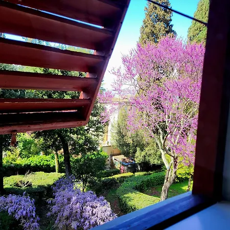 Nardi - Residenza D'epoca Otel Floransa